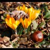 20080224_078